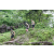 Team 10 / J3 - Epreuve Trek sur Langkawi