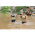Team 42 / J3 - Epreuve Trek sur Langkawi