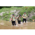 Team 02 / J3 - Epreuve Trek sur Langkawi