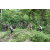 Team 73 / J3 - Epreuve Trek sur Langkawi
