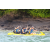 Team 20 / J4 - Epreuve Canoe sur Langkawi