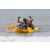 Team 22 / J4 - Epreuve Canoe sur Langkawi