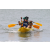 Team 69 / J4 - Epreuve Canoe sur Langkawi