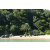 J5 - Epreuve VTT / Trek sur Tuba Island