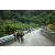 J5 - Epreuve VTT / Trek sur Tuba Island