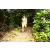 Team 47 / J5 - Epreuve VTT / Trek sur Tuba Island