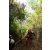 Team 57 / J5 - Epreuve VTT / Trek sur Tuba Island