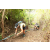 Team 30 / J5 - Epreuve VTT / Trek sur Tuba Island