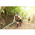 Team 53 / J5 - Epreuve VTT / Trek sur Tuba Island