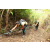 Team 59 / J5 - Epreuve VTT / Trek sur Tuba Island