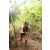Team 41 / J5 - Epreuve VTT / Trek sur Tuba Island