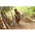 Team 43 / J5 - Epreuve VTT / Trek sur Tuba Island