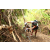 J5 - Epreuve VTT / Trek sur Tuba Island