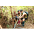 Team 55 / J5 - Epreuve VTT / Trek sur Tuba Island