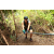 Team 32 / J5 - Epreuve VTT / Trek sur Tuba Island