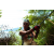 Team 77 / J5 - Epreuve VTT / Trek sur Tuba Island