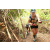 Team 12 / J5 - Epreuve VTT / Trek sur Tuba Island