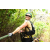 Team 73 / J5 - Epreuve VTT / Trek sur Tuba Island