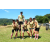 Team 10 / J5 - Epreuve VTT / Trek sur Tuba Island