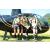 Team 68 / J5 - Epreuve VTT / Trek sur Tuba Island