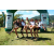 Team 04 / J5 - Epreuve VTT / Trek sur Tuba Island
