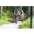 Team 19 / J5 - Epreuve VTT / Trek sur Tuba Island