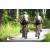 Team 01 / J5 - Epreuve VTT / Trek sur Tuba Island