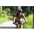 Team 14 / J5 - Epreuve VTT / Trek sur Tuba Island
