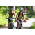 Team 06 / J5 - Epreuve VTT / Trek sur Tuba Island