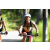 Team 79 / J5 - Epreuve VTT / Trek sur Tuba Island