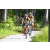 Team 02 / J5 - Epreuve VTT / Trek sur Tuba Island