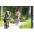 Team 08 / J5 - Epreuve VTT / Trek sur Tuba Island