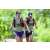 Team 17 / J5 - Epreuve VTT / Trek sur Tuba Island
