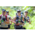 Team 78 / J5 - Epreuve VTT / Trek sur Tuba Island