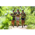 Team 24 / J5 - Epreuve VTT / Trek sur Tuba Island