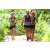 Team 28 / J5 - Epreuve VTT / Trek sur Tuba Island