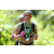 Team 57 / J5 - Epreuve VTT / Trek sur Tuba Island