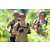 Team 56 / J5 - Epreuve VTT / Trek sur Tuba Island