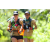 Team 47 / J5 - Epreuve VTT / Trek sur Tuba Island