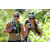 Team 59 / J5 - Epreuve VTT / Trek sur Tuba Island