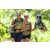 Team 51 / J5 - Epreuve VTT / Trek sur Tuba Island