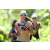 Team 77 / J5 - Epreuve VTT / Trek sur Tuba Island