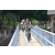 Team 58 / J5 - Epreuve VTT / Trek sur Tuba Island