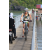 Team 56 / J5 - Epreuve VTT / Trek sur Tuba Island