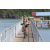 Team 50 / J5 - Epreuve VTT / Trek sur Tuba Island
