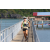 Team 54 / J5 - Epreuve VTT / Trek sur Tuba Island