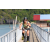 Team 70 / J5 - Epreuve VTT / Trek sur Tuba Island