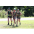 Team 09 / J5 - Epreuve VTT / Trek sur Tuba Island