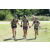 Team 14 / J5 - Epreuve VTT / Trek sur Tuba Island