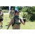 Team 11 / J5 - Epreuve VTT / Trek sur Tuba Island